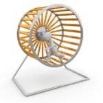 sortir de la rat race
